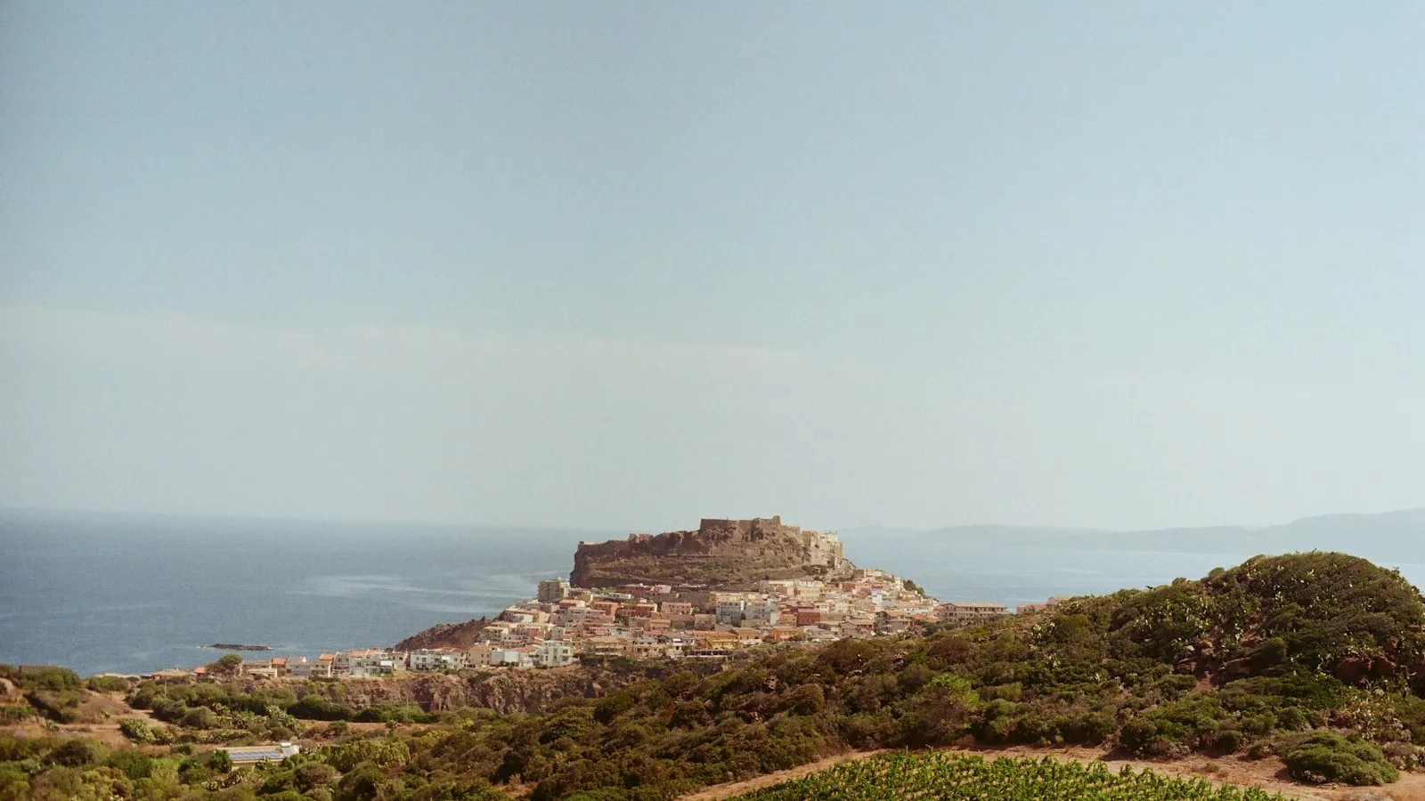 Où acheter du vin sarde